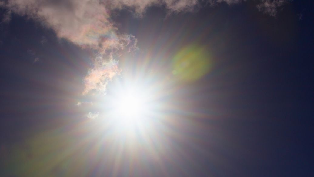 Glutathione Lifestyle And Environmental Factors | Shaanxi BLOOM Tech Co., Ltd