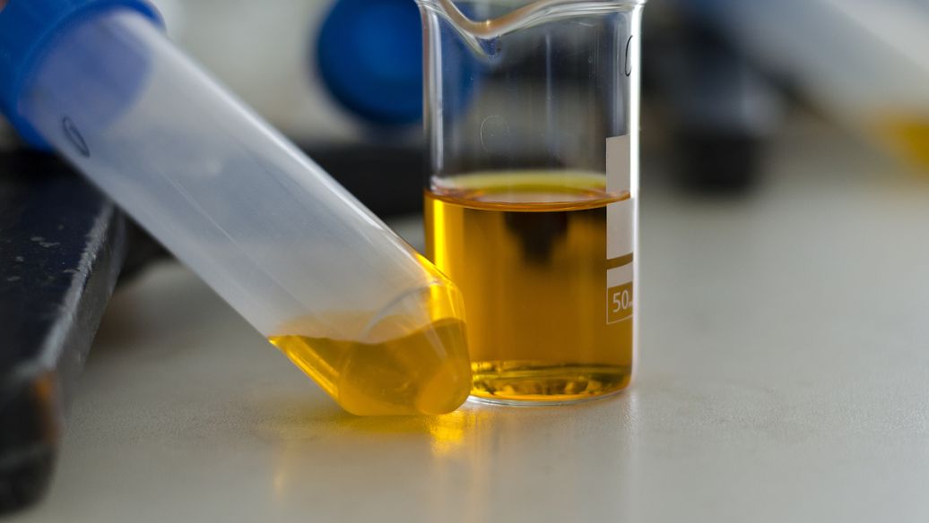 Dioctyl sebacate grease | Shaanxi BLOOM Tech Co., Ltd Dioctyl sebacate grease | Shaanxi BLOOM Tech Co., Ltd