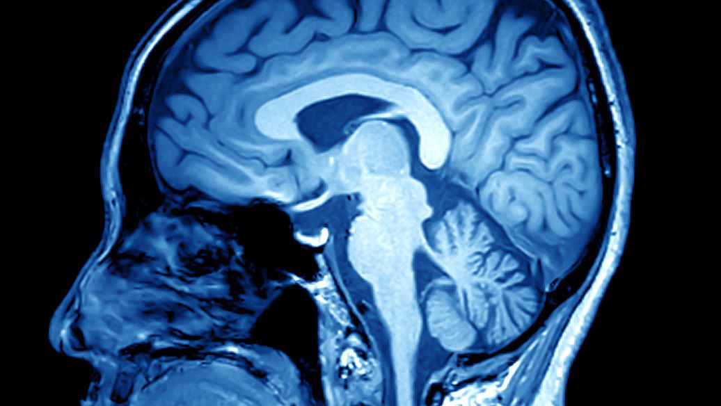 Humanin price | Shaanxi BLOOM Tech Co., Ltd Humanin price | Shaanxi BLOOM Tech Co., Ltd