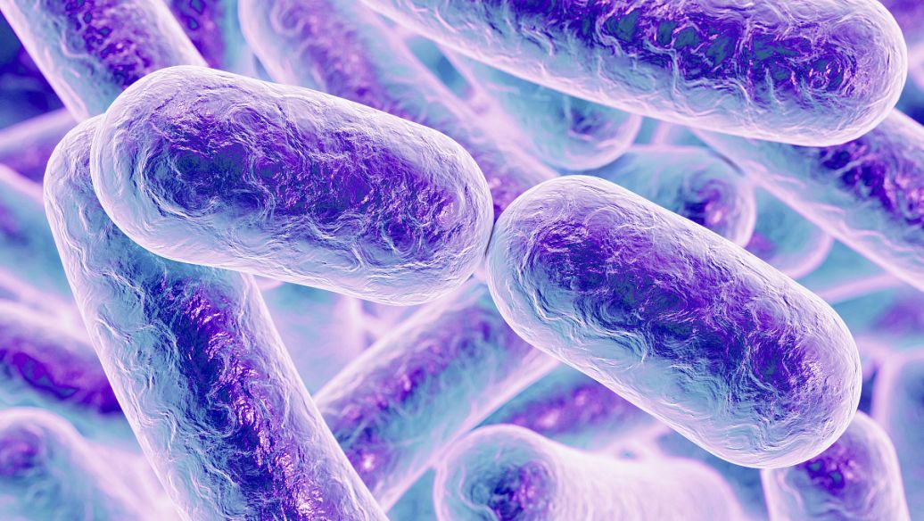 SLU-PP-332 Drug | Shaanxi BLOOM Tech Co., Ltd SLU-PP-332 Drug | Shaanxi BLOOM Tech Co., Ltd