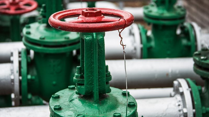 cholesterol uses 57-88-5 | Shaanxi BLOOM Tech Co., Ltd cholesterol uses 57-88-5 | Shaanxi BLOOM Tech Co., Ltd