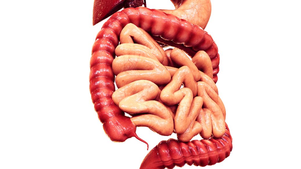 Loperamide Hydrochloride uses | Shaanxi BLOOM Tech Co., Ltd Loperamide Hydrochloride uses | Shaanxi BLOOM Tech Co., Ltd