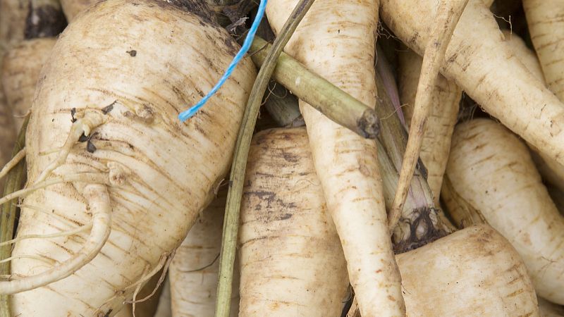 莲藕节的功效与作用