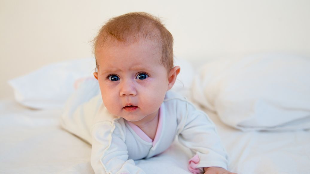 Taurine human | Shaanxi BLOOM Tech Co., Ltd Taurine human | Shaanxi BLOOM Tech Co., Ltd