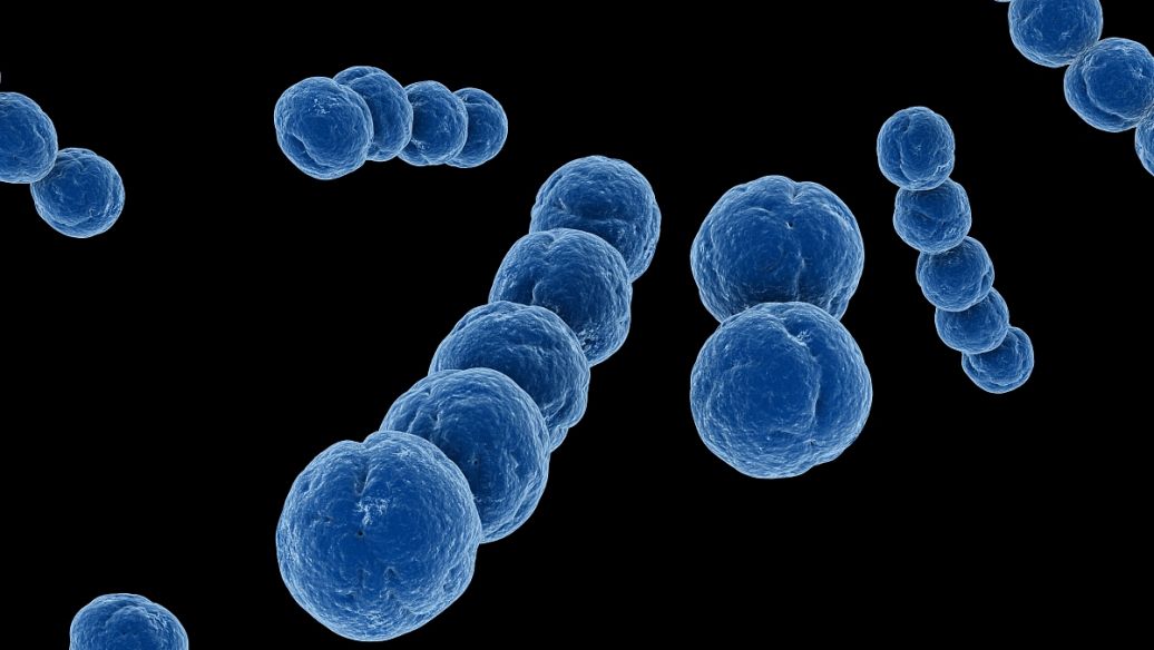 精子质量分析报告