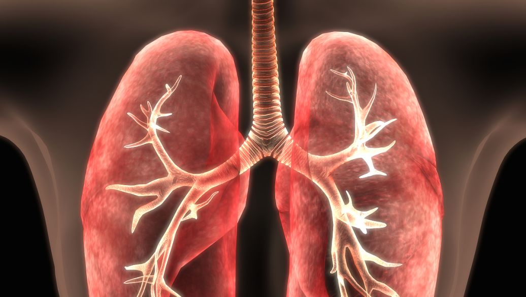 trilostane capsule uses | Shaanxi BLOOM Tech Co., Ltd trilostane capsule uses | Shaanxi BLOOM Tech Co., Ltd