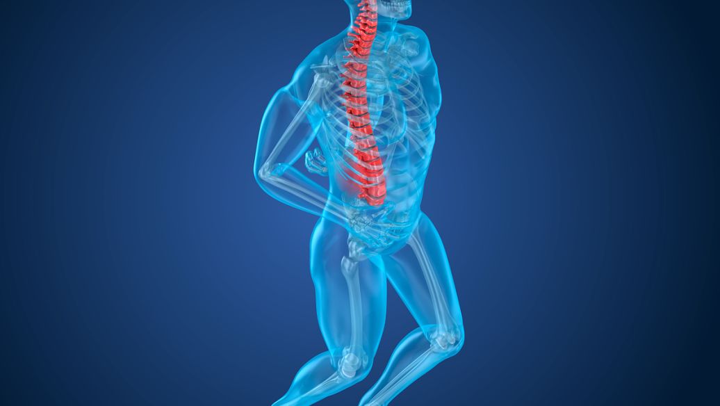 Carperitide sodium‑water retention | Shaanxi BLOOM Tech Co., Ltd Carperitide sodium‑water retention | Shaanxi BLOOM Tech Co., Ltd