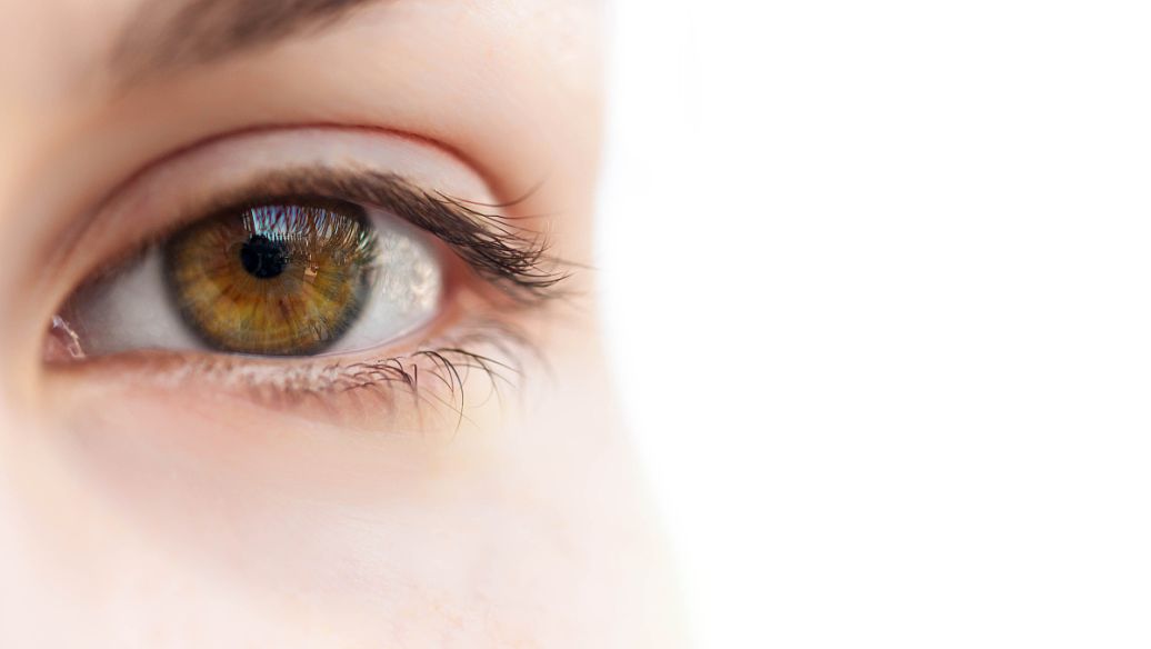 phenethyl alcohol eye | Shaanxi BLOOM Tech Co., Ltd