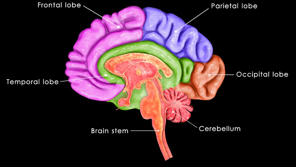 5-Amino-1MQ Price | Shaanxi BLOOM Tech Co., Ltd 5-Amino-1MQ Price | Shaanxi BLOOM Tech Co., Ltd