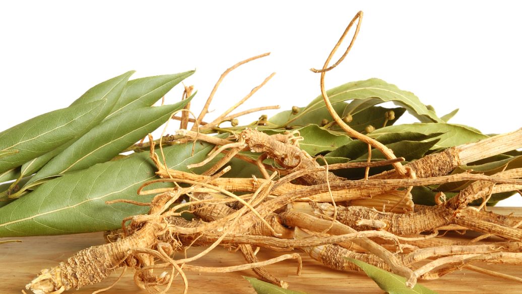 藿香正气散的功效与作用