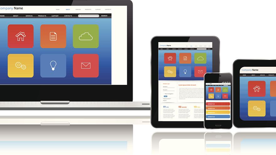 Pyridoxine Hydrochloride Powder E-Commerce Platform | Shaanxi BLOOM Tech Co., Ltd Pyridoxine Hydrochloride Powder E-Commerce Platform | Shaanxi BLOOM Tech Co., Ltd