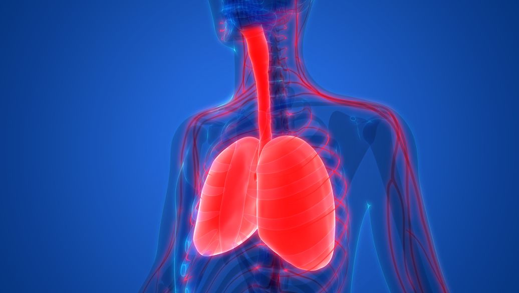 Tirzepatide healthy | Shaanxi BLOOM Tech Co., Ltd Tirzepatide healthy | Shaanxi BLOOM Tech Co., Ltd