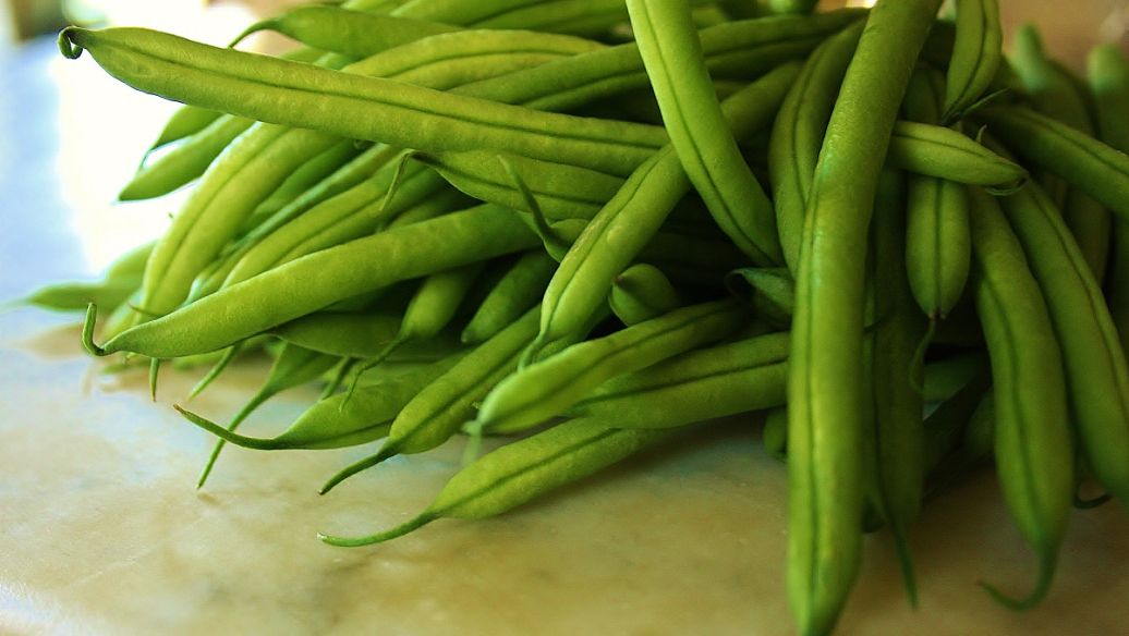 大刀豆的功效与作用