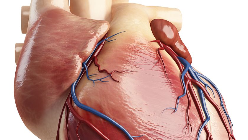 Bioglutide NA-931 purchase | Shaanxi BLOOM Tech Co., Ltd Bioglutide NA-931 purchase | Shaanxi BLOOM Tech Co., Ltd