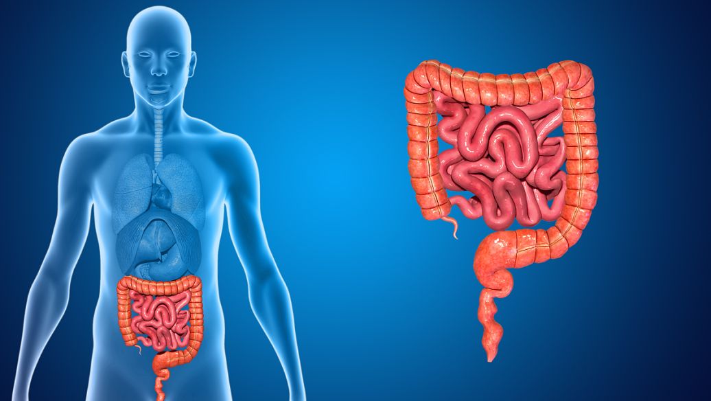 TUBERCIDIN Common | Shaanxi BLOOM Tech Co., Ltd TUBERCIDIN Common | Shaanxi BLOOM Tech Co., Ltd