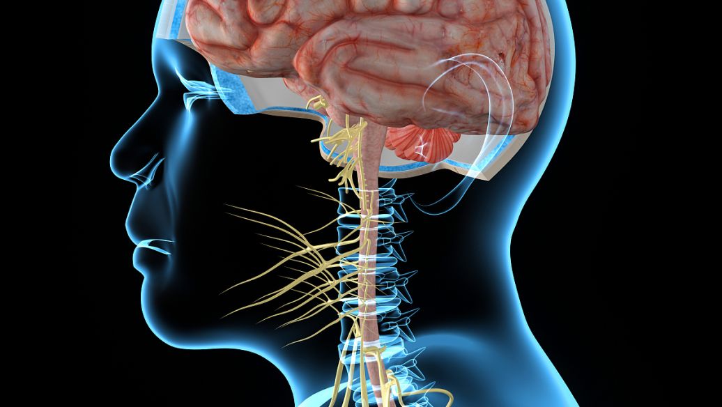 Protirelin buy | Shaanxi BLOOM Tech Co., Ltd Protirelin buy | Shaanxi BLOOM Tech Co., Ltd