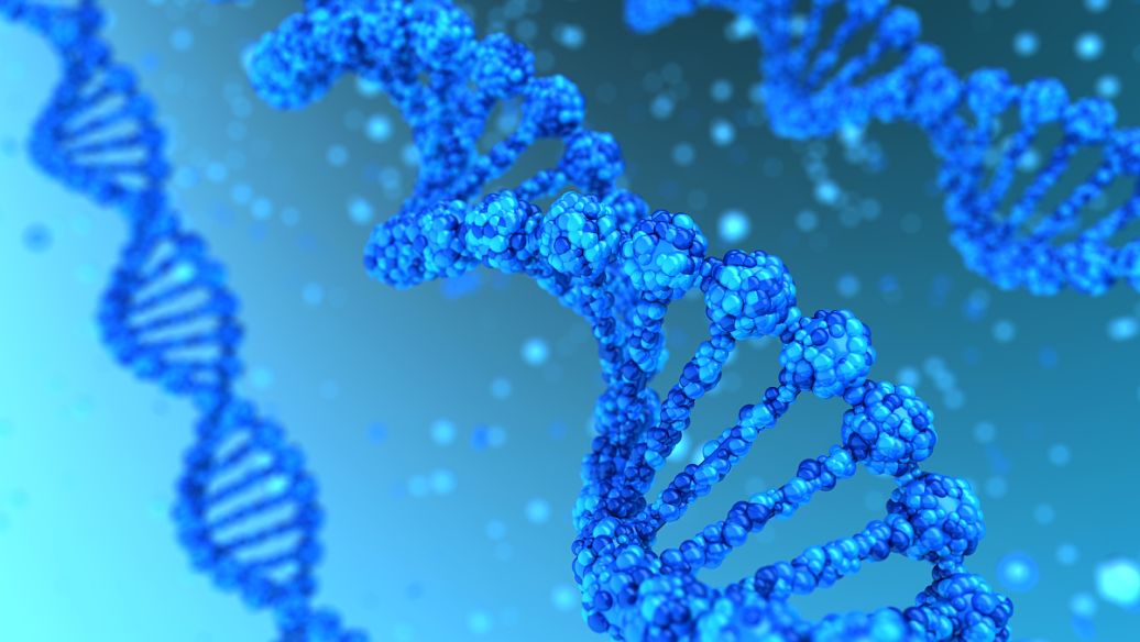 SLU-PP-332 Future Applications | Shaanxi BLOOM Tech Co., Ltd