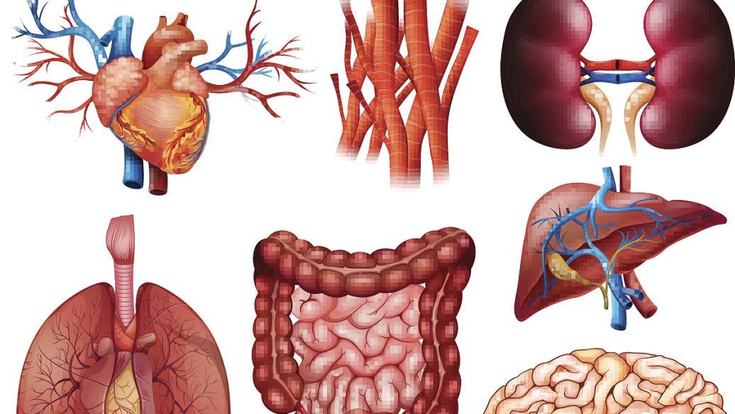 Tirzepatide online | Shaanxi BLOOM Tech Co., Ltd Tirzepatide online | Shaanxi BLOOM Tech Co., Ltd