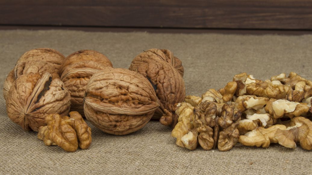 龙舌兰的功效与作用