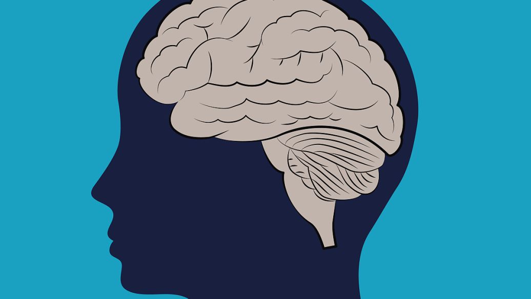 Semax buy | Shaanxi BLOOM Tech Co., Ltd Semax buy | Shaanxi BLOOM Tech Co., Ltd