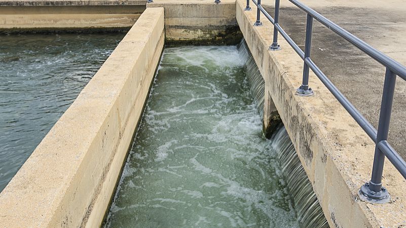 Tetraethylammonium Bromide application | Shaanxi BLOOM Tech Co., Ltd Tetraethylammonium Bromide application | Shaanxi BLOOM Tech Co., Ltd