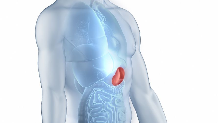 D-ribose powder uses | Shaanxi BLOOM Tech Co., Ltd D-ribose powder uses | Shaanxi BLOOM Tech Co., Ltd