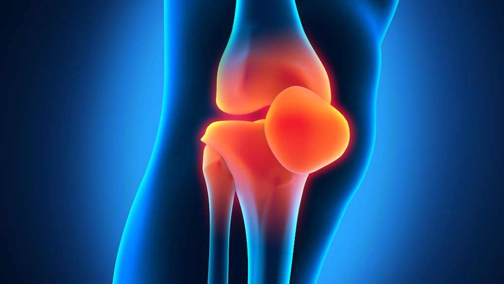 Thymoquinone pain | Shaanxi BLOOM Tech Co., Ltd Thymoquinone pain | Shaanxi BLOOM Tech Co., Ltd