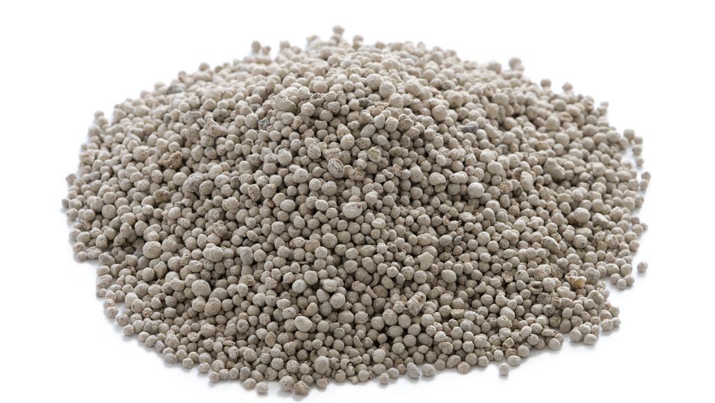 Cellulase feed | Shaanxi BLOOM Tech Co., Ltd