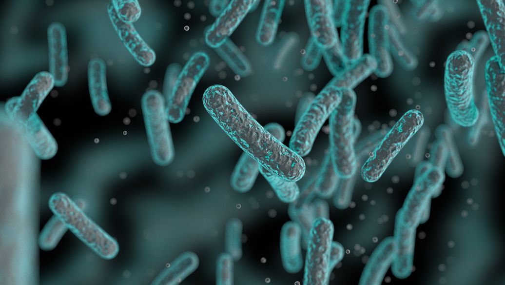 Tropinone uses | Shaanxi BLOOM Tech Co., Ltd