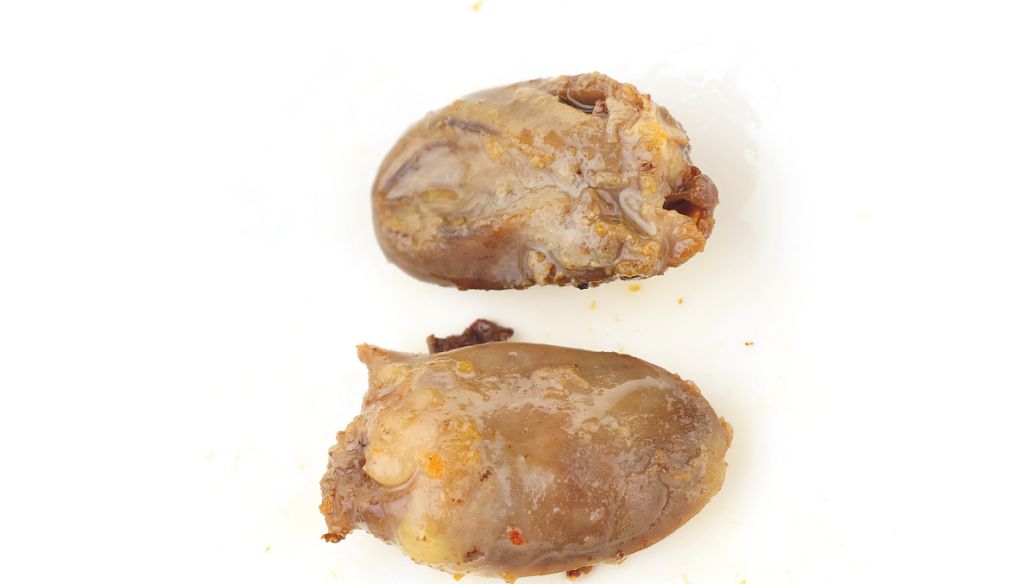 制附子的功效与作用