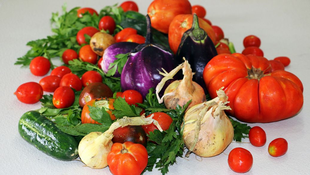 Bicuculline Regulation | Shaanxi BLOOM Tech Co., Ltd