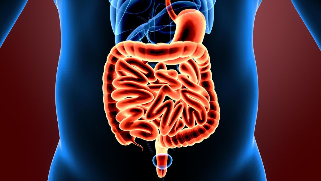 SLU-PP-332 Targeting Metabolic Sensors | Shaanxi BLOOM Tech Co., Ltd