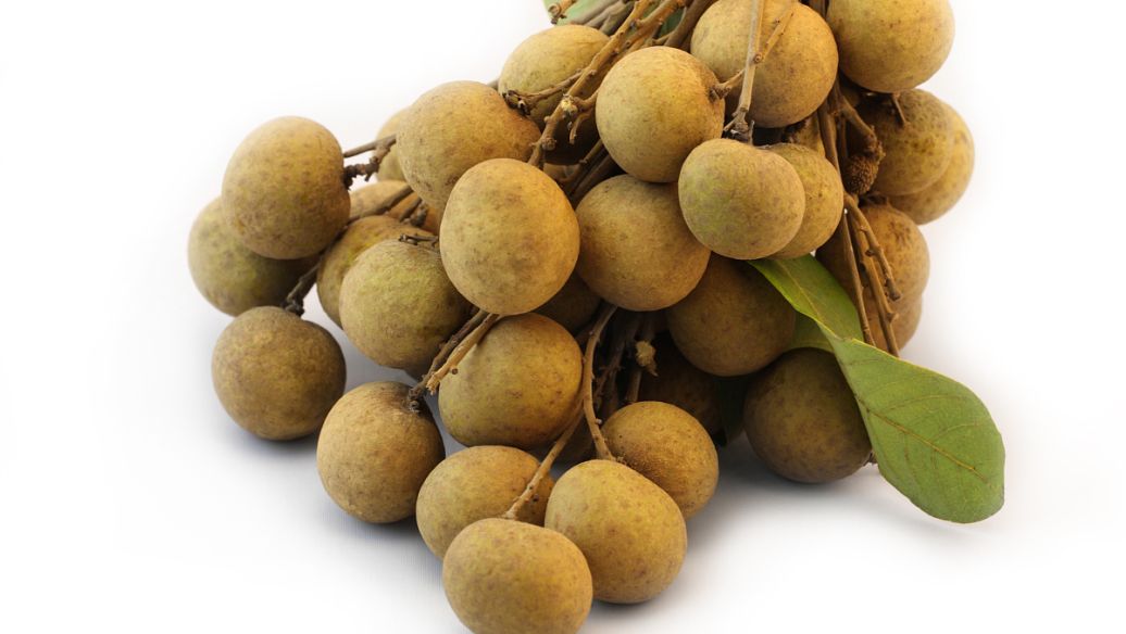 云雾草的功效与作用