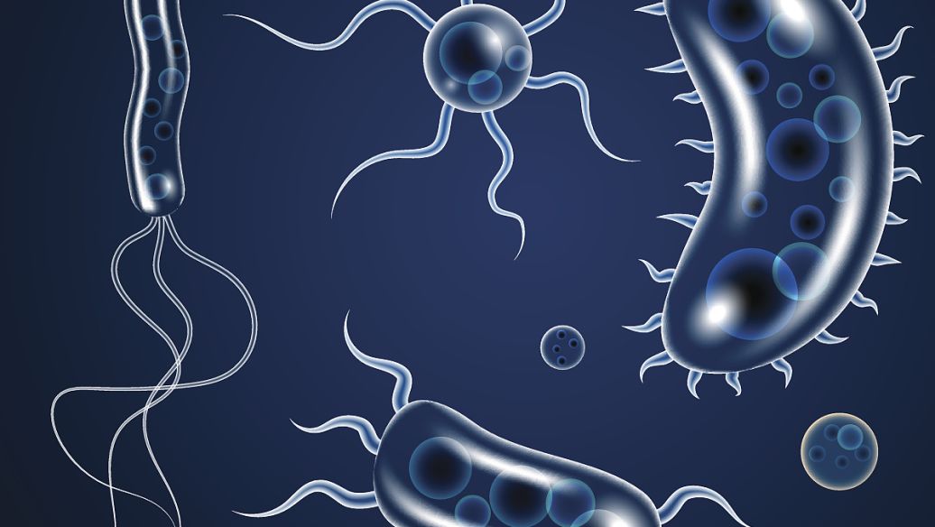 Linaclotide microbiota | Shaanxi BLOOM Tech Co., Ltd Linaclotide microbiota | Shaanxi BLOOM Tech Co., Ltd