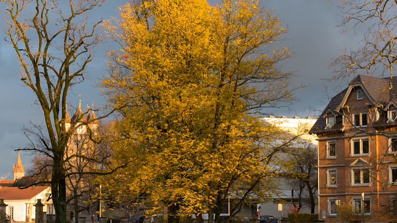 近畿大学吧 百度贴吧