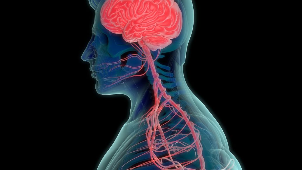 Ziconotide sick | Shaanxi BLOOM Tech Co., Ltd 