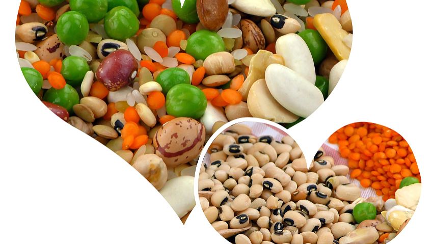 Potassium iodide food | Shaanxi BLOOM Tech Co., Ltd Potassium iodide food | Shaanxi BLOOM Tech Co., Ltd