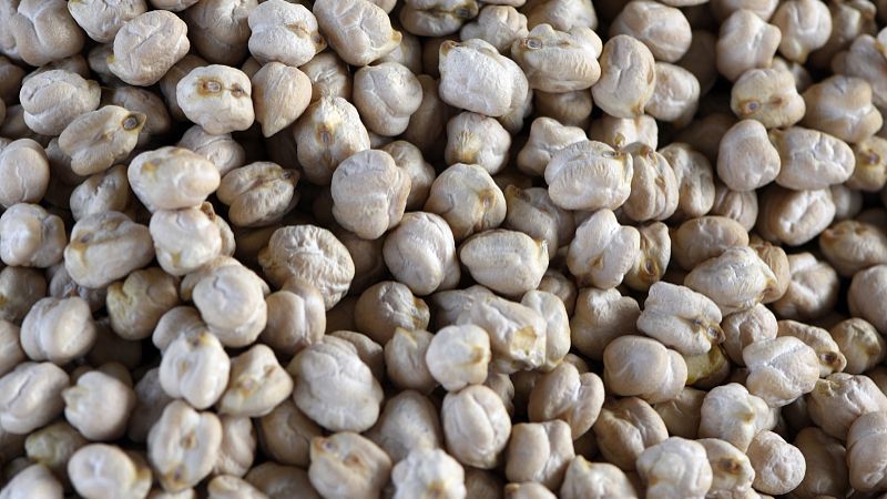 桑黄有什么功效