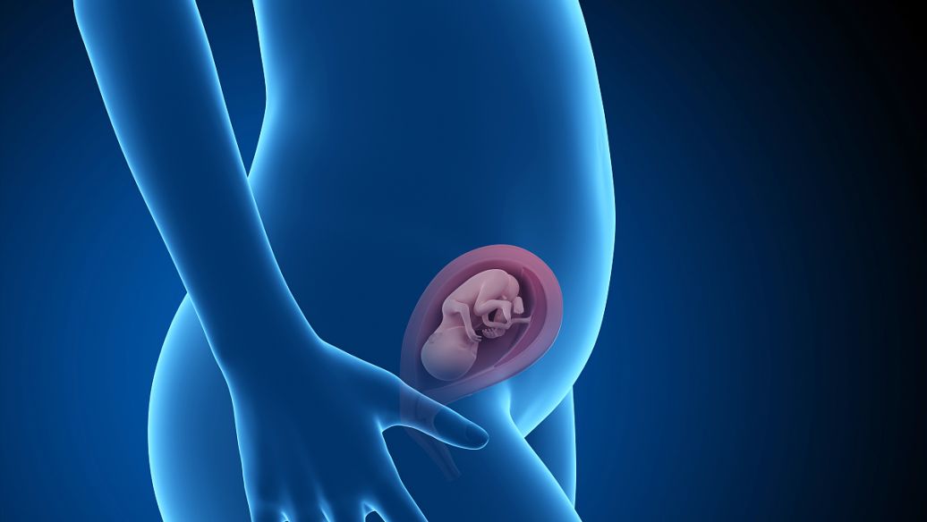 oxytocin smooth | Shaanxi BLOOM Tech Co., Ltd