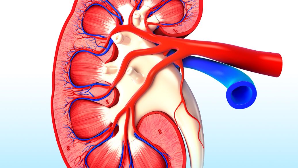 Retatrutide injection uses | Shaanxi BLOOM Tech Co., Ltd Retatrutide injection uses | Shaanxi BLOOM Tech Co., Ltd