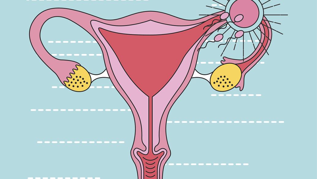 Degarelix price | Shaanxi BLOOM Tech Co., Ltd Degarelix price | Shaanxi BLOOM Tech Co., Ltd