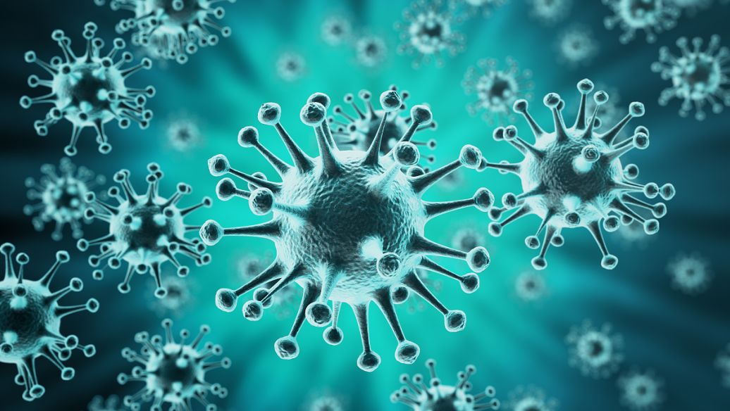 Shikimic acid immune regulatory effects | Shaanxi BLOOM Tech Co., Ltd Shikimic acid immune regulatory effects | Shaanxi BLOOM Tech Co., Ltd