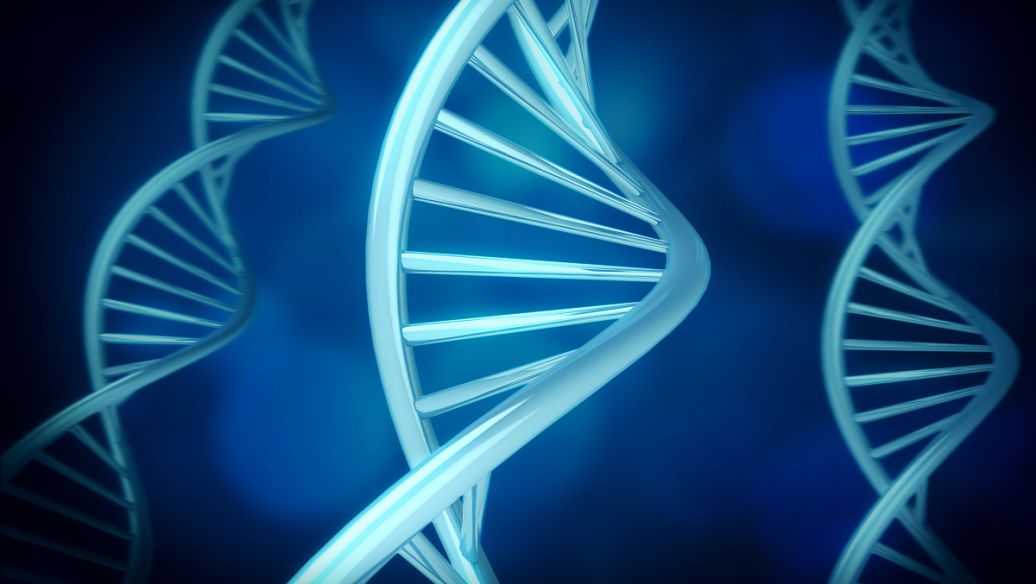 SLU-PP-332 online | Shaanxi BLOOM Tech Co., Ltd SLU-PP-332 online | Shaanxi BLOOM Tech Co., Ltd