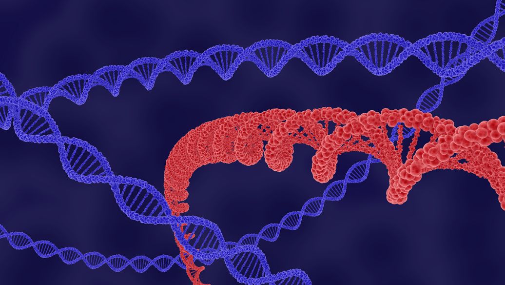 Proteinase K buy | Shaanxi BLOOM Tech Co., Ltd Proteinase K buy | Shaanxi BLOOM Tech Co., Ltd