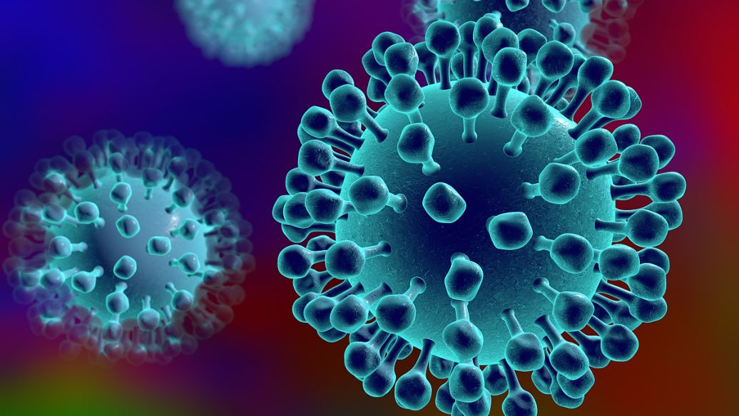 GS 441524 viral | Shaanxi BLOOM Tech Co., Ltd GS 441524 viral | Shaanxi BLOOM Tech Co., Ltd