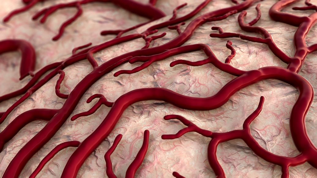 epinephrine hydrochloride Hemostasis For Surgical Wounds | Shaanxi BLOOM Tech Co., Ltd