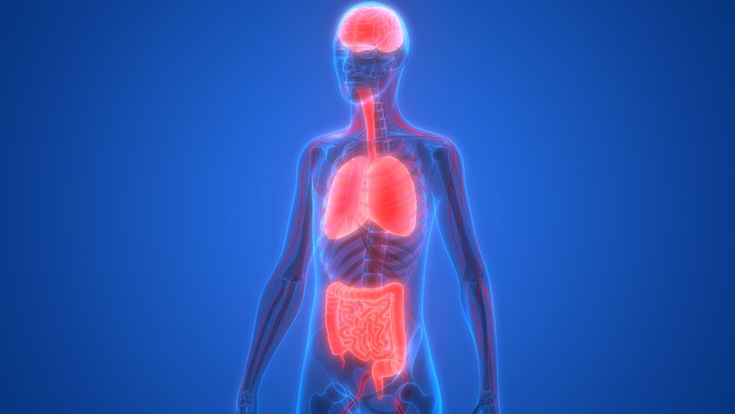 Bioglutide NA-931 price | Shaanxi BLOOM Tech Co., Ltd