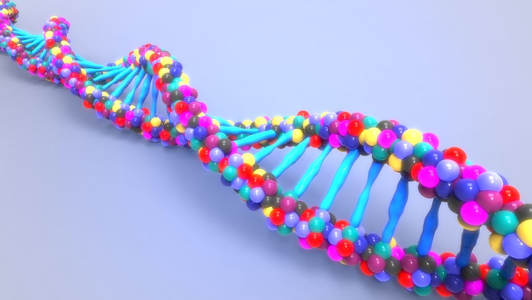 SLU-PP-332 online | Shaanxi BLOOM Tech Co., Ltd SLU-PP-332 online | Shaanxi BLOOM Tech Co., Ltd