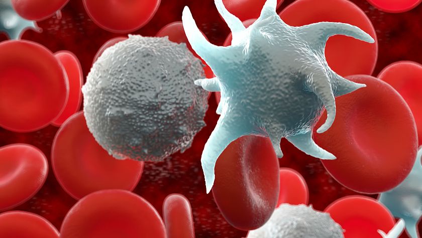 SLU-PP-332 Injection uses | Shaanxi BLOOM Tech Co., Ltd SLU-PP-332 Injection uses | Shaanxi BLOOM Tech Co., Ltd