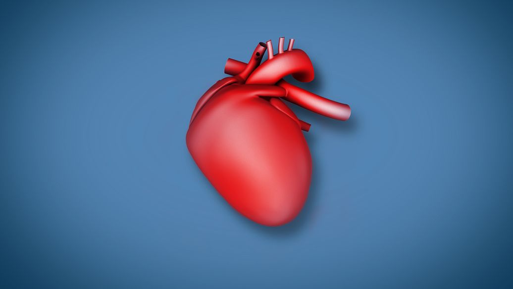 SLU-PP-332 for sale | Shaanxi BLOOM Tech Co., Ltd SLU-PP-332 for sale | Shaanxi BLOOM Tech Co., Ltd